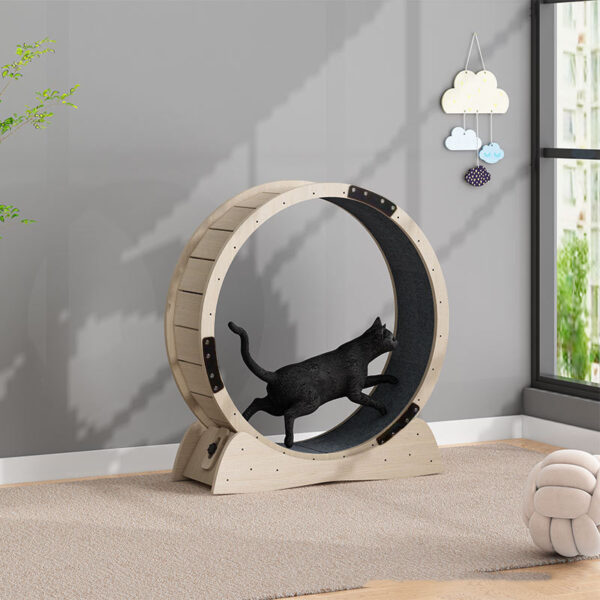 Cat Silent Treadmill Roller Large Weight Loss Exercise - Image 2