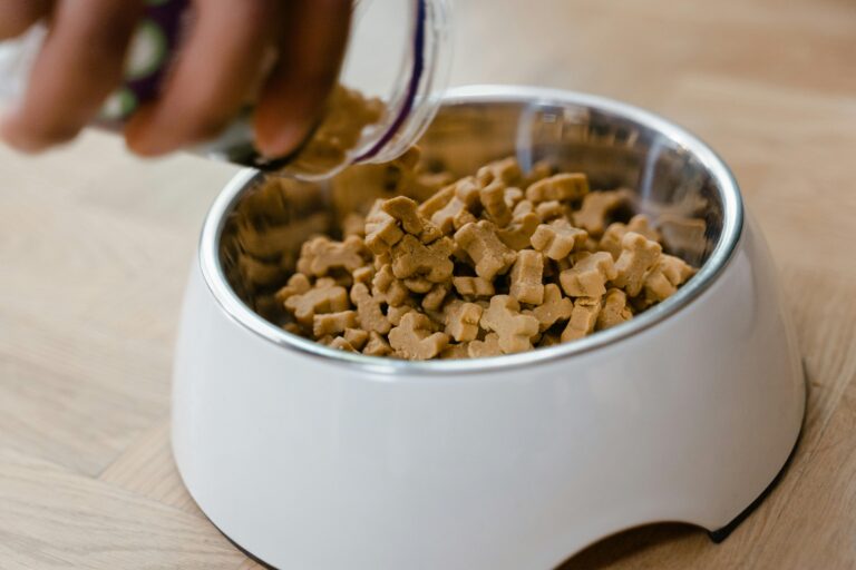 Pet Bowls