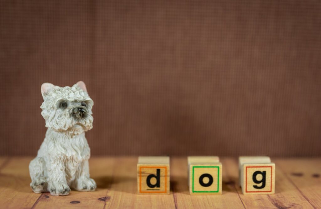Pet Toys