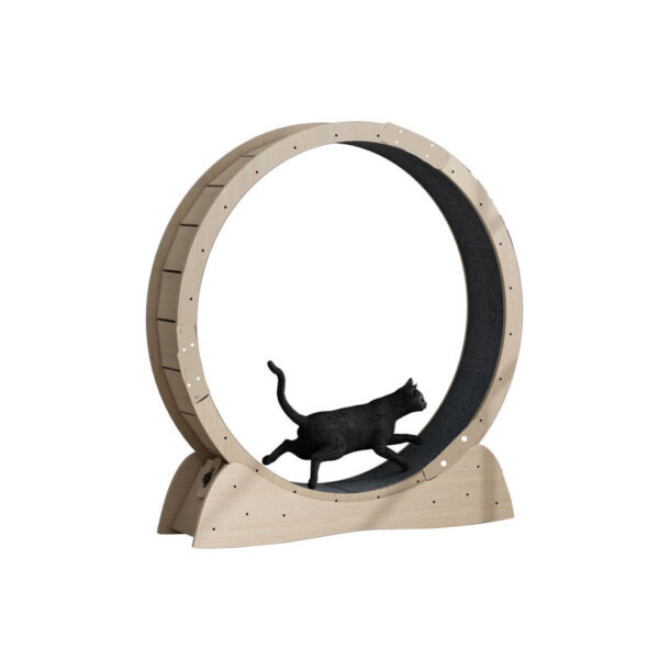 Cat Silent Treadmill Roller Large Weight Loss Exercise - Image 9